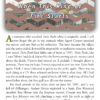 Fire Walk With Me: Your Laura Disappeared - Image 3