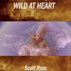 The Road to David Lynch's Wild at Heart